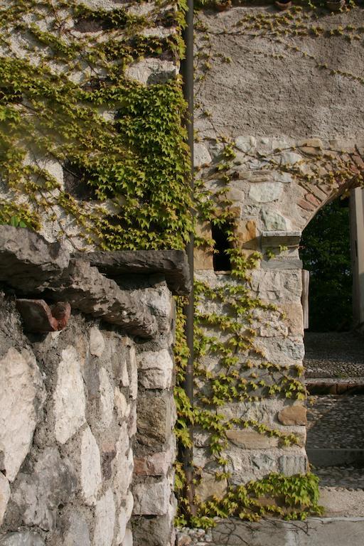 La Maison Lion